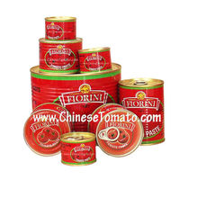 Tomato Paste (850g canned) with Fiorini Brand